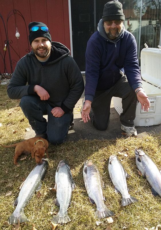 5 steelhead, March 2018